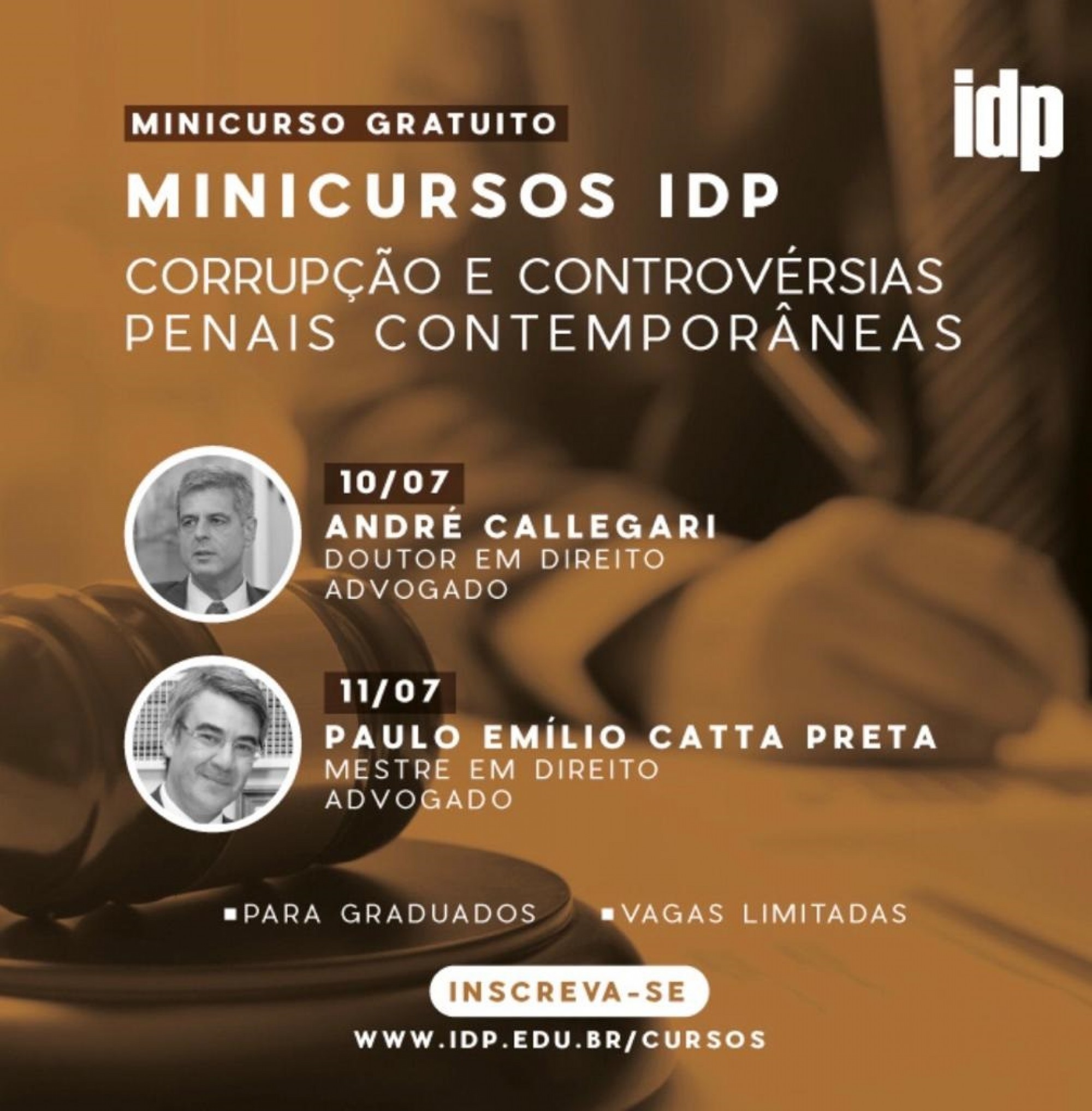 Palestra no IDP -  10/07 - Dr André Luís Callegari